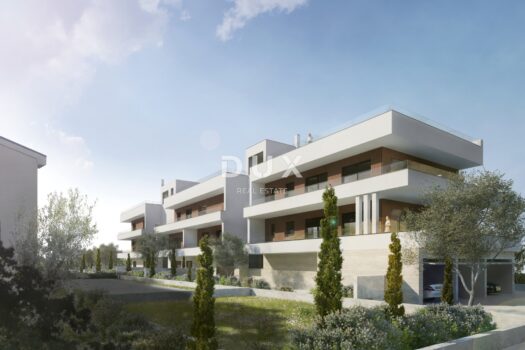 1758034195 terase jug 006 6