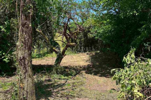 Grundstück Veliki Jadrč, Vrbovsko, 1.111m2 1758100734 whatsapp image 2025 09 17 at 11