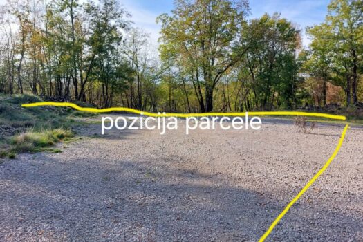 1758105315 ac2d743b ae48 4a94 b7cf 8df9785c175e