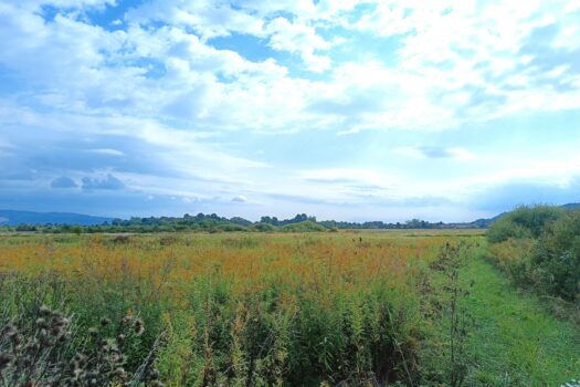 1758111364 img 20250916 104607 1