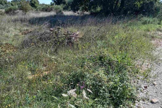 1758143904 2025 09 17 20 04 36 359