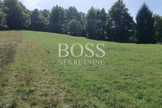 1758709512 img c2659e1086320136b6e6bd24d009483f v