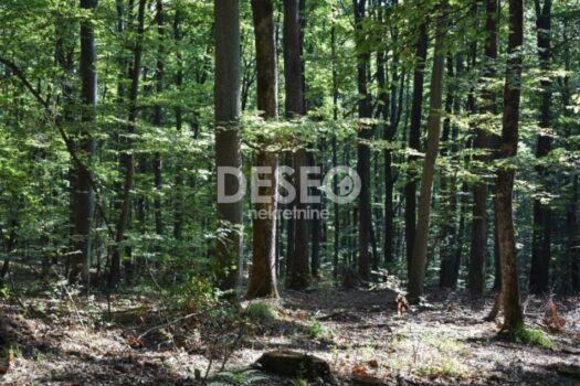 1758788887 screenshot 20230705 111642 samsung internet