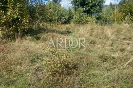 1758801372 whatsapp slika 2025 09 25 u 13