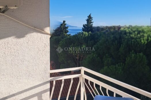 1758827539 1000027604