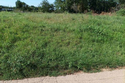 1759132482 img 601faff6c6d97f62bb8697ae139afd57 v