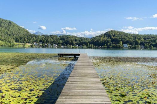 Klopeiner See Haus kaufen (32)