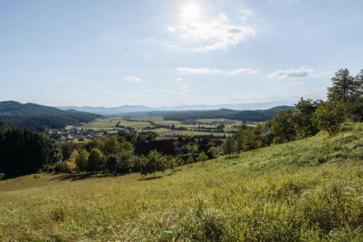 Krasser Grundstück Mattelsberg 09 2025-13
