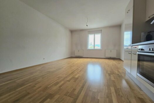 Heller Wohntraum! Singlewohnung am Südtirolerplatz! 4