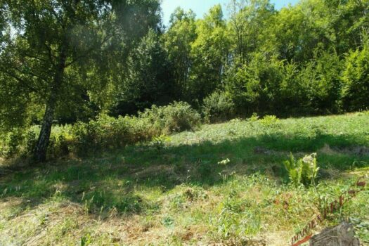 Bauland in idyllischer Ruhelage -6035343067621475821_121