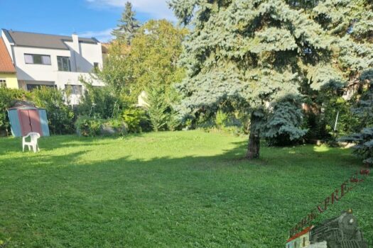 WhatsApp Bild 2025-09-14 um 16.48.56_1b09e4ef