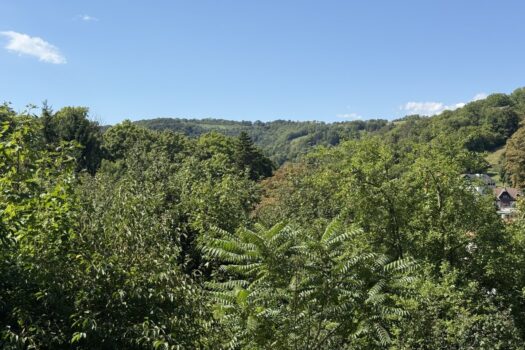 Die stille Adresse der hohen Ansprüche! Grundstück mit Fernblick