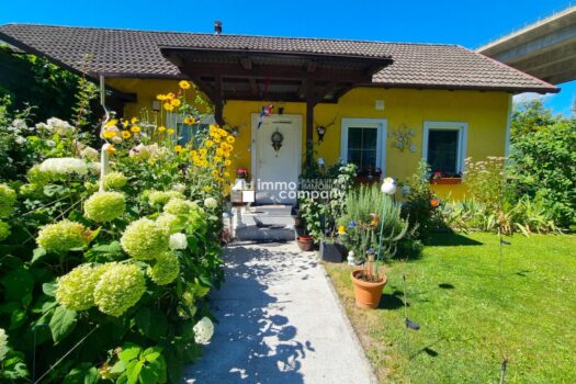 1MWOetYb6afy9zWYXfTCaq