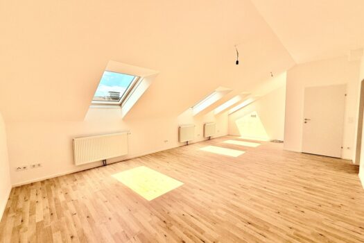 1N4jONzX0Tk5FEVdvbIE7v