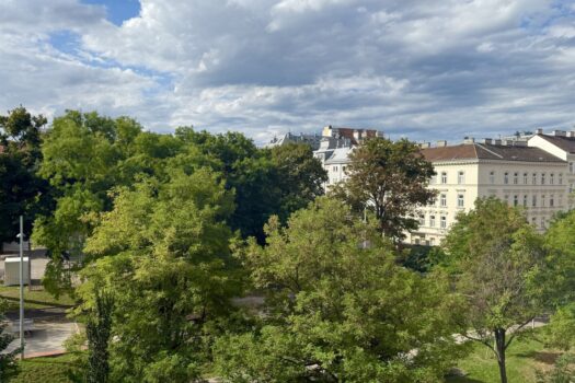 1YJk2CSLkxGzdTXoWFlfXl