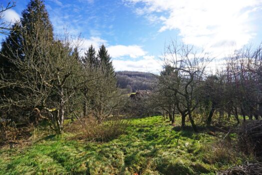 Grundstück mit Panoramablick an der Wiener Stadtgrenze 1eiHhFrijzQfrhAhu7csOv