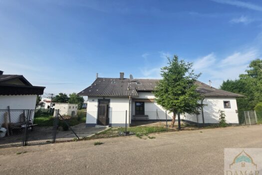 24zZutAaggwS2cy9U7jUwm