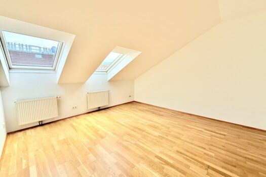 2RVUS2nT0ndUZW1kT72Xwb