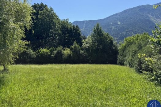 2RVa4UaswS7ekXcanmp10K