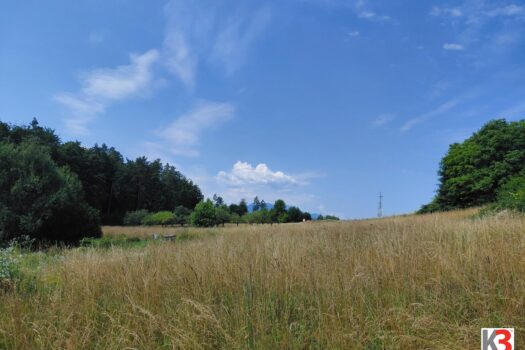 2oVnZItp7XeVxcwsDoqKTG