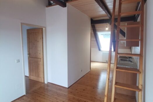 3NOGcgNcMNRXcdNF1ZG2Ux