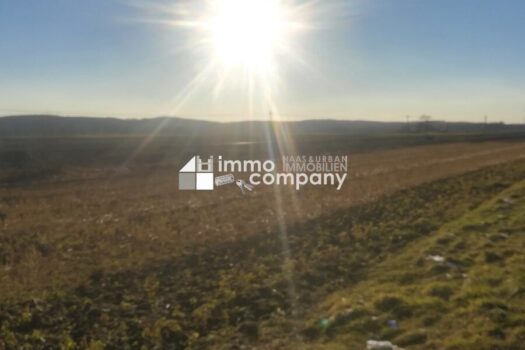 Sonniger Baugrund bei Jennersdorf Bild 1