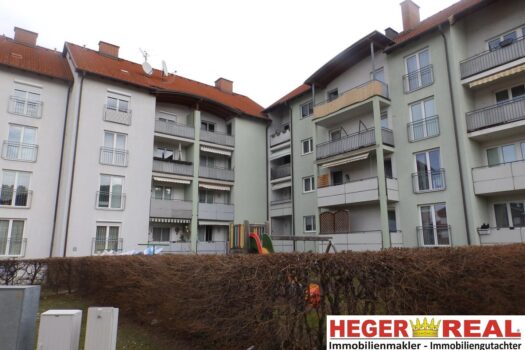 3qu25UZWpOqrv7d4hVhm72