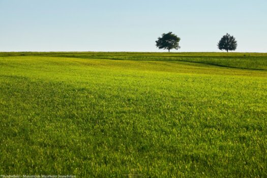 3sr6GTk7Nryi17RN8gwSDd