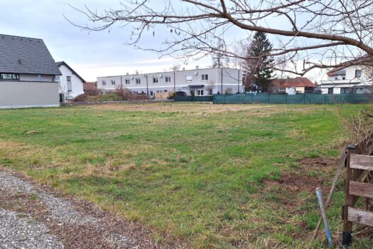 42b9nJQeW4vIrIQk6sjqGF