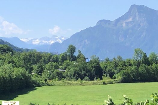 Baubewilligtes BVH am Stadtrand von Salzburg tws. Festungsblick: 10 Wohnungen mit Wintergärten und Tiefgarage 47CJld4U1TvqBUqMfs1NzJ