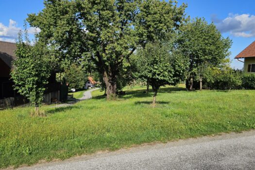 4DLDA6fH2RfZMyUSag488z