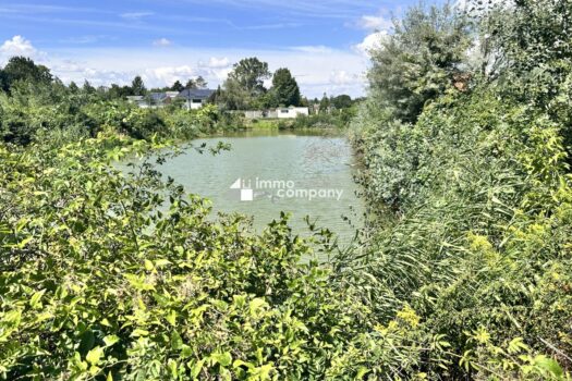 4M6kriT6KCapGDlgKIN7Yn