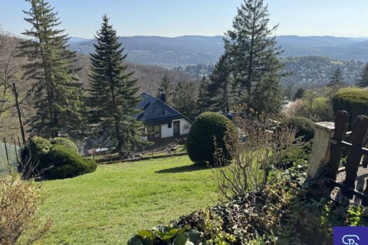 4OzkzXZUaP6lapVtMpWRqJ