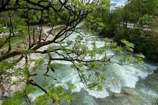 4PUsJKN1CUE0FSdmY8G0xw