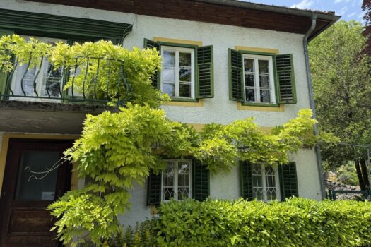 Eine Gartenvilla im Salzkammergut - im schönen Bad Ischl! 4RWHZ5EkQrFtcw58kguYjD