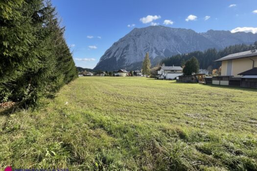 51jJYkfHLlq5RbMXRjHBWl