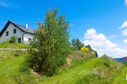 54GbqLqrqZteM9ra0kfPGK