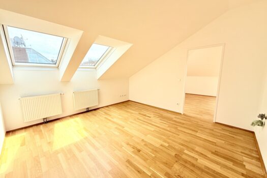 54U9K0m5UDOLkEirASkaCs