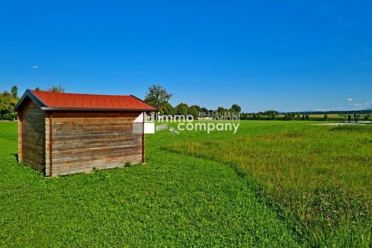 5IJWbu2vS4DuWnKmfmcxN8 1