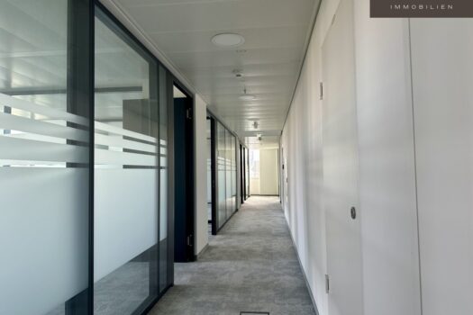 5LKyUFQdi2jbDuw0JwMg4r