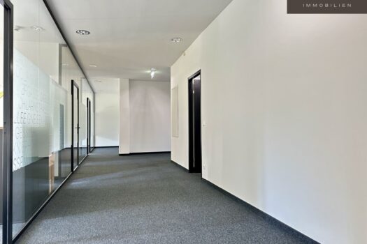 5VLVM6s9duGW0wYh5WKi2s