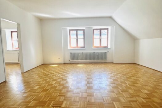Urbanes Wohnen in Krems – Stilvolle 3-Zimmer-Wohnung im Stadtzentrum Wohnzimmer