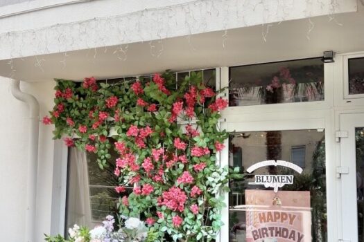 Ihr Traum-Gastgewerbe in Wien: 306m², Garten, Bar & mehr – jetzt für 2,29 Mio. €! 5iSSkZn4ceFEO7VQIEygrp