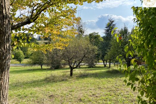 5o0lhiPOegS2CPXT6lQyKd