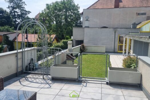 5wEtrJVYB0ytfVO6yDacWX