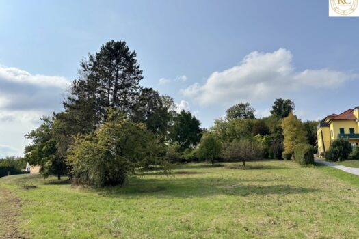 63CvvC1TJp43buTDilwiEB