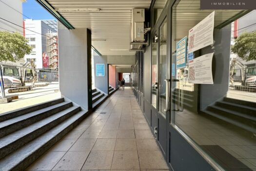 6J4Tx2iviVzutml4jie12X