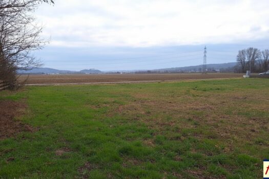 6TieHcvJvUNK80dDuYFAqm