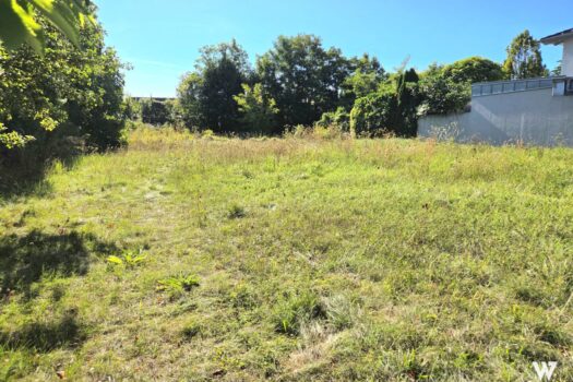 Juwel: zentrales Baugrundstück in Korneuburg | 535 m2 | Bauklasse I,II - 25% | offene Bauweise 6UTzfofVuj9fDDVkXeYUn6