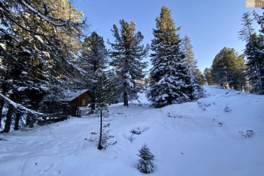 6VRkVRk2tA0cGhi9Bg83UM